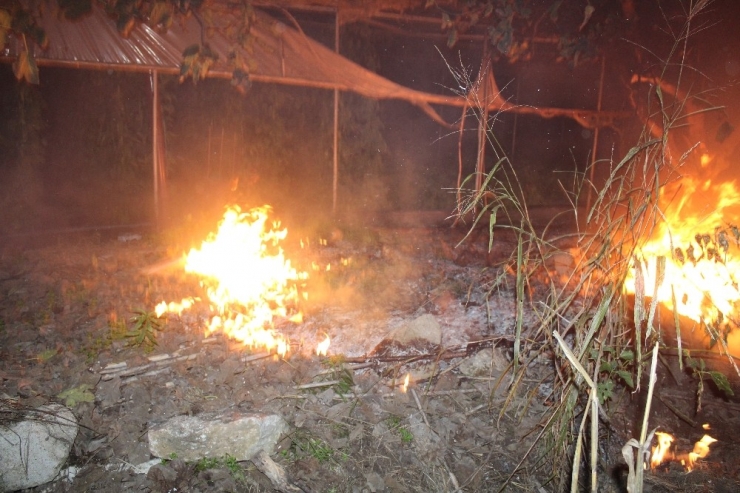 Anız Yangını Seraya Sıçradı