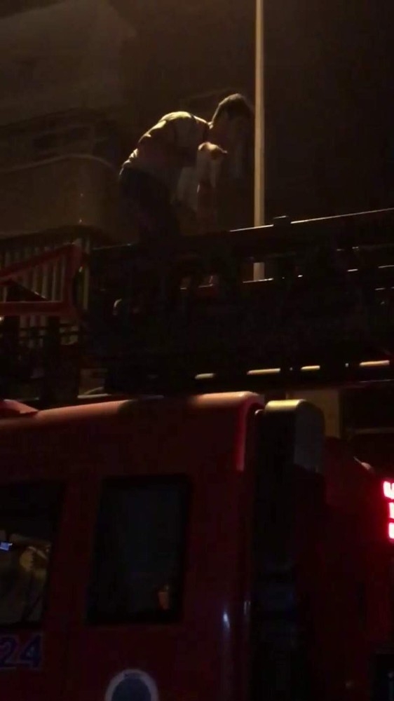 Ağaçta Mahsur Kalan Kediyi İtfaiye Ekipleri Kurtardı