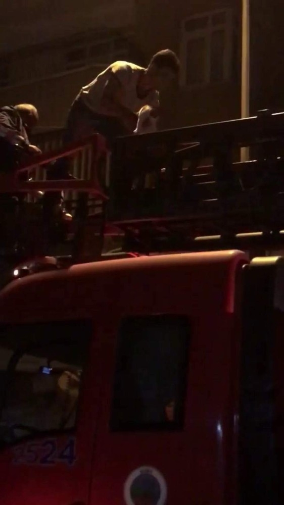 Ağaçta Mahsur Kalan Kediyi İtfaiye Ekipleri Kurtardı