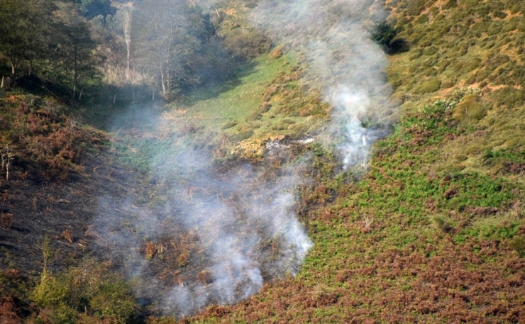 Sinop’ta Orman Yangını