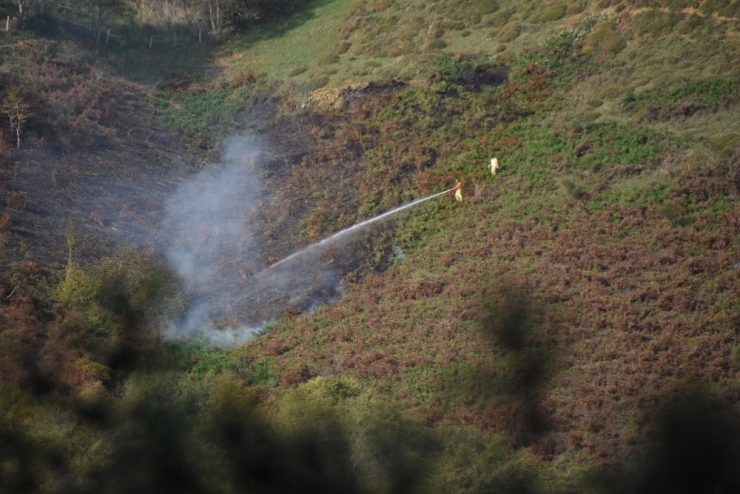 Sinop’ta Orman Yangını