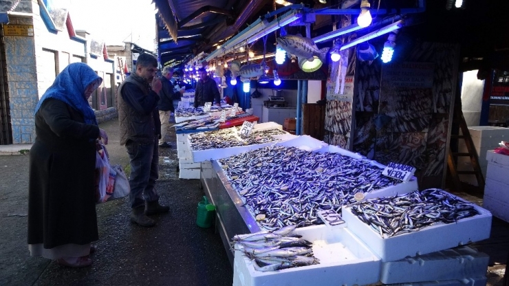 Hamsi Tezgahları Süslüyor