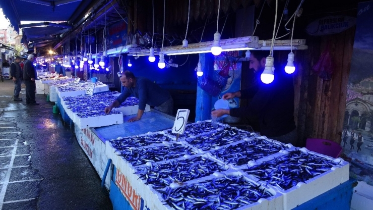 Hamsi Tezgahları Süslüyor