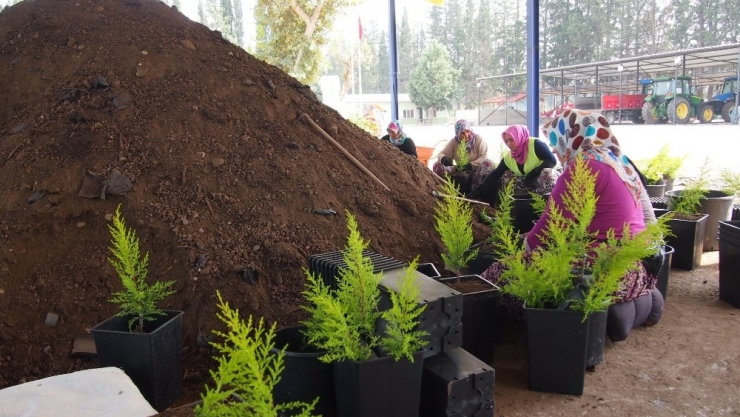 2023 Noktada, 11 Milyon Fidanla Geleceğe Nefes