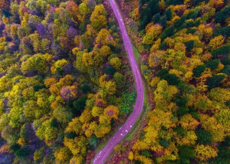 Ordu’da Sonbaharda Renk Cümbüşü