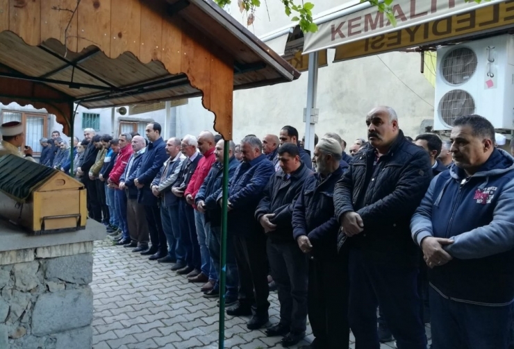 Erzincan’da Ağaçtan Düşen 3 Çocuk Babası Hayatını Kaybetti