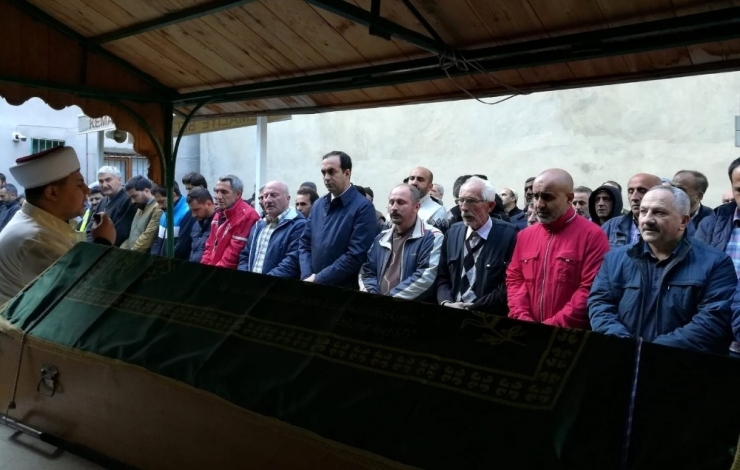 Erzincan’da Ağaçtan Düşen 3 Çocuk Babası Hayatını Kaybetti