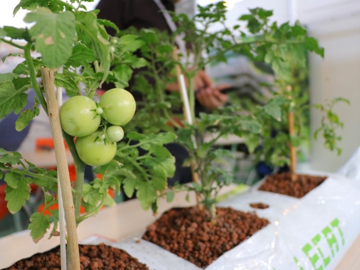 Adana Tarım Fuarı Açıldı