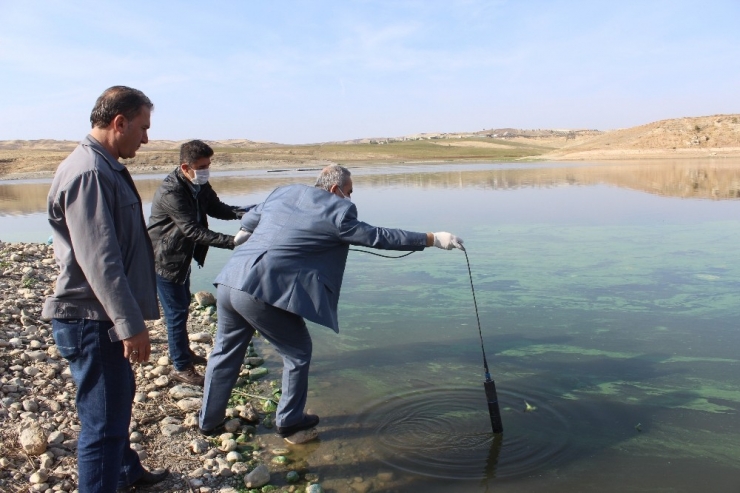 Atatürk Barajında Korkutan Görüntü