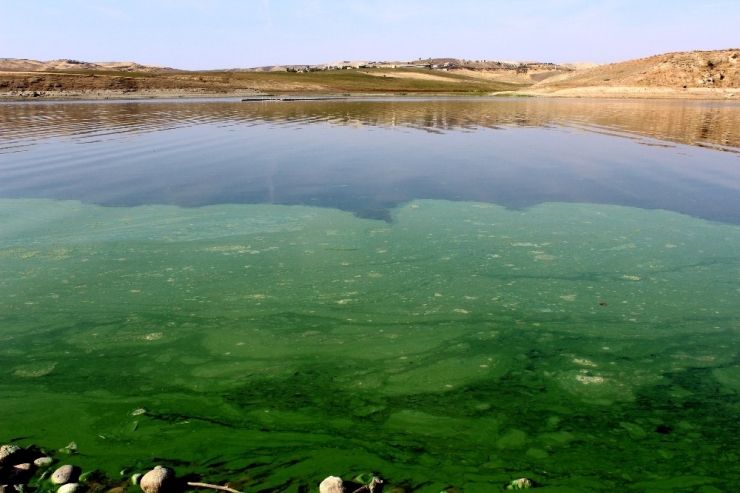 Atatürk Barajında Korkutan Görüntü