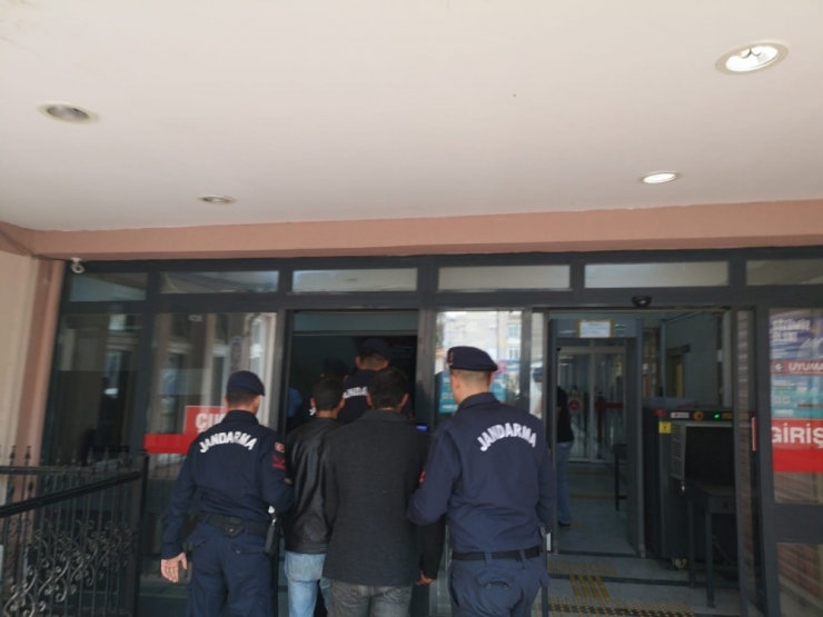 Çalınan Koyunları Satmaya Çalışırken Yakalandılar