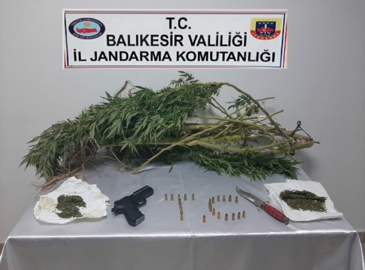 Jandarmadan Uyuşturucuya Geçit Yok