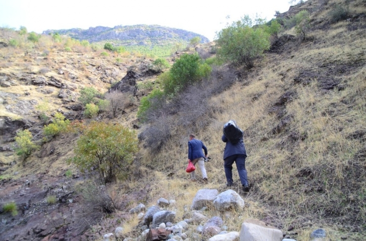 Bitlis’te Uçurumdan Düşen 315 Koyun Telef Oldu