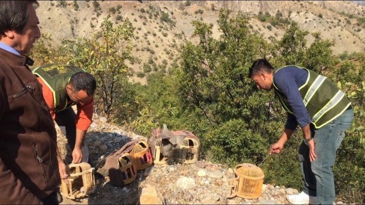 Tunceli’de Kaçak Ava 54 Bin Lira Ceza