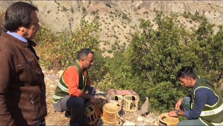 Tunceli’de Kaçak Ava 54 Bin Lira Ceza
