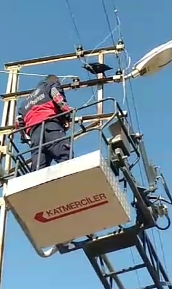 Elektrik Tellerine Takılan Karga’yı İtfaiye Ekipleri Kurtardı