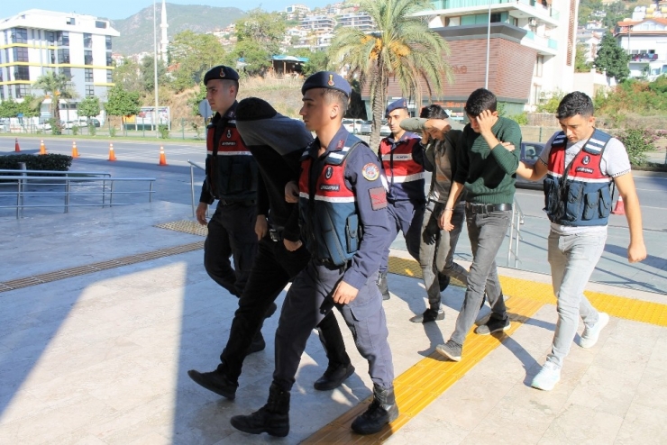 Bahçeden 30 Bin Lira Değerinde Avokado Çalan Şüpheliler Tutuklandı