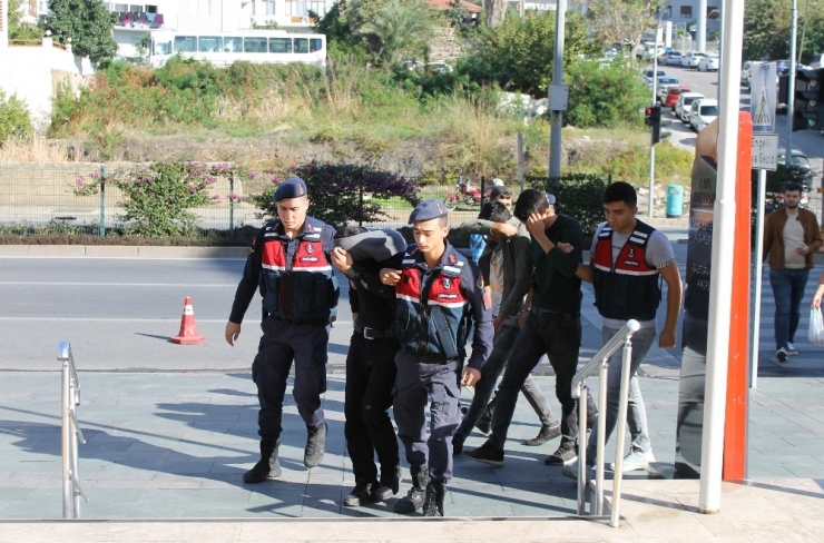 Bahçeden 30 Bin Lira Değerinde Avokado Çalan Şüpheliler Tutuklandı