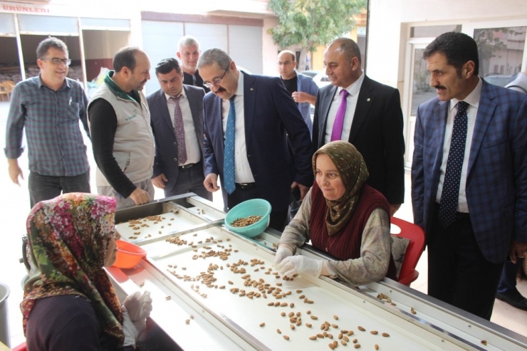 Salihli Ceviz Ve Badem Diyarı Olma Yolunda İlerliyor