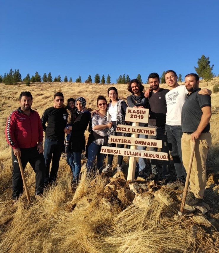 Dicle Elektrik Hatıra Ormanı’nda 300 Fidan Toprakla Buluştu