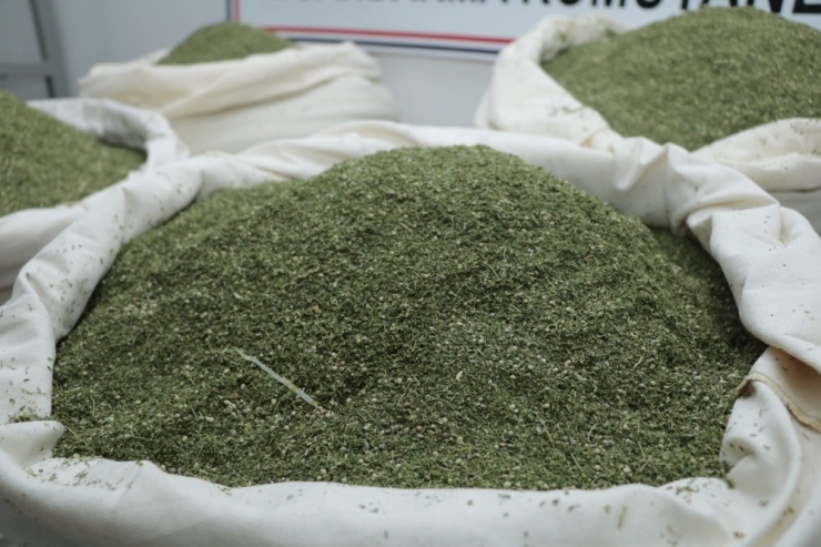 Öğrenci Servisinde 176 Kilogram Esrar Ele Geçirildi