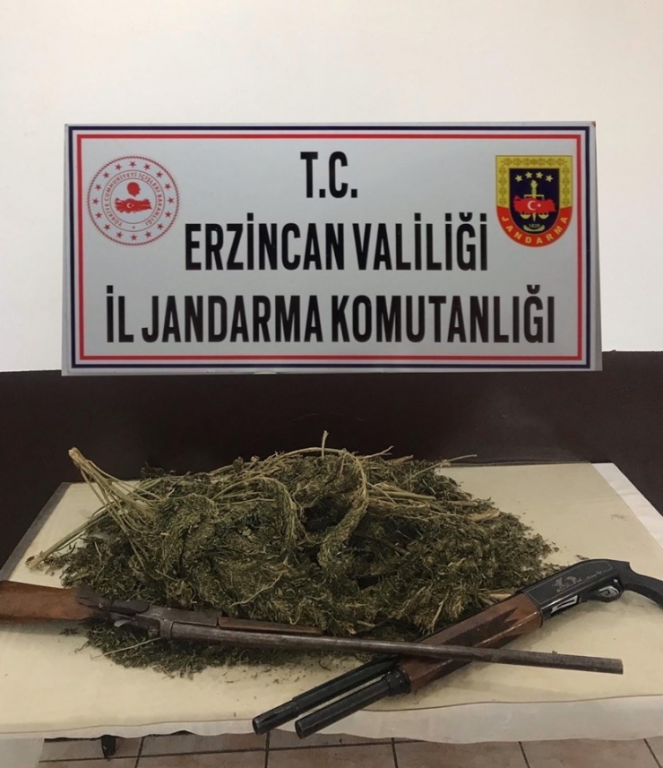 Erzincan’da 2 Kilo 400 Gram Kubar Esrar İle 2 Adet Av Tüfeği Ele Geçirildi