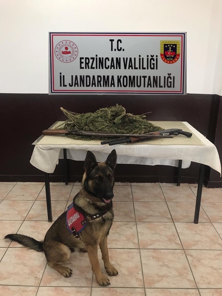Erzincan’da 2 Kilo 400 Gram Kubar Esrar İle 2 Adet Av Tüfeği Ele Geçirildi