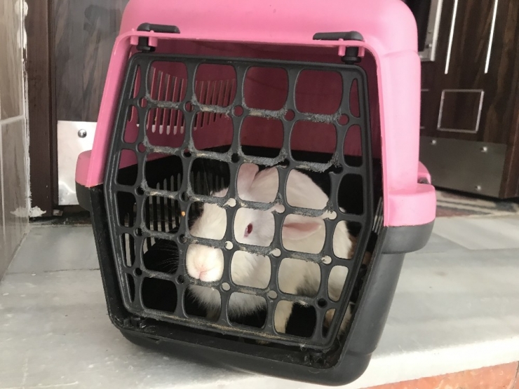 Fatih’te Korkutan Yangın