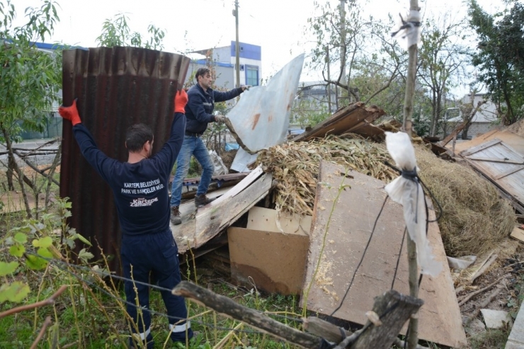 Kartepe’de Usulsüz Hayvan Barınakları Kaldırılıyor