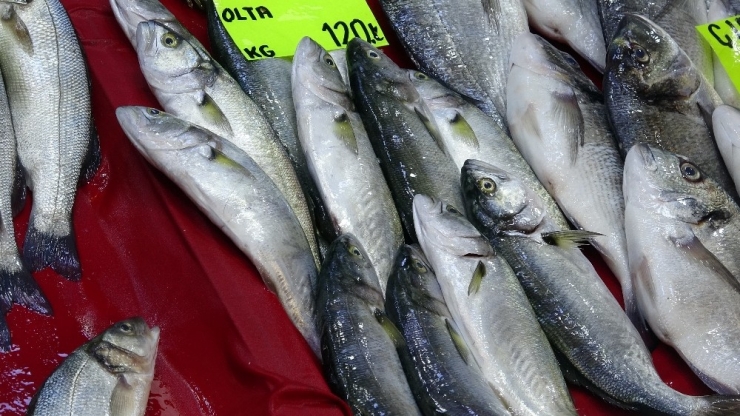 Lüferin Kilogram Fiyatı Bir Haftada 60 Lira Düştü