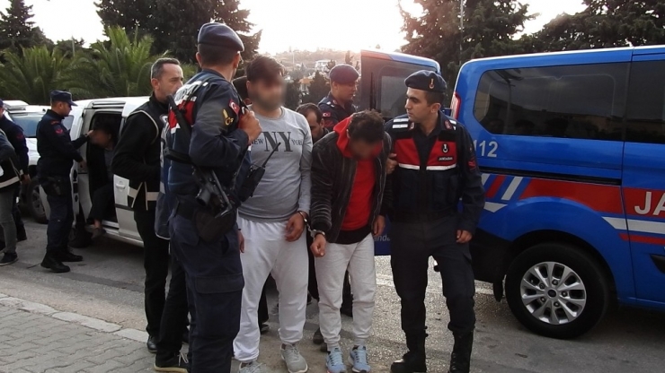 Göçmen Olarak Geldiler, Organizatör Oldular