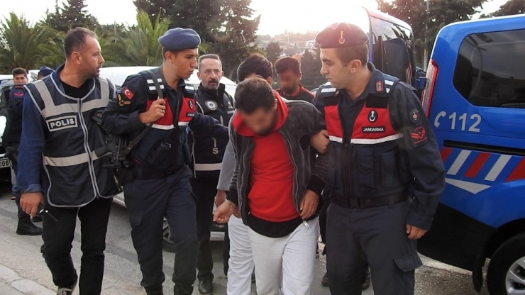 Göçmen Olarak Geldiler, Organizatör Oldular