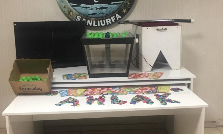 Şanlıurfa’da Kumar Operasyonu