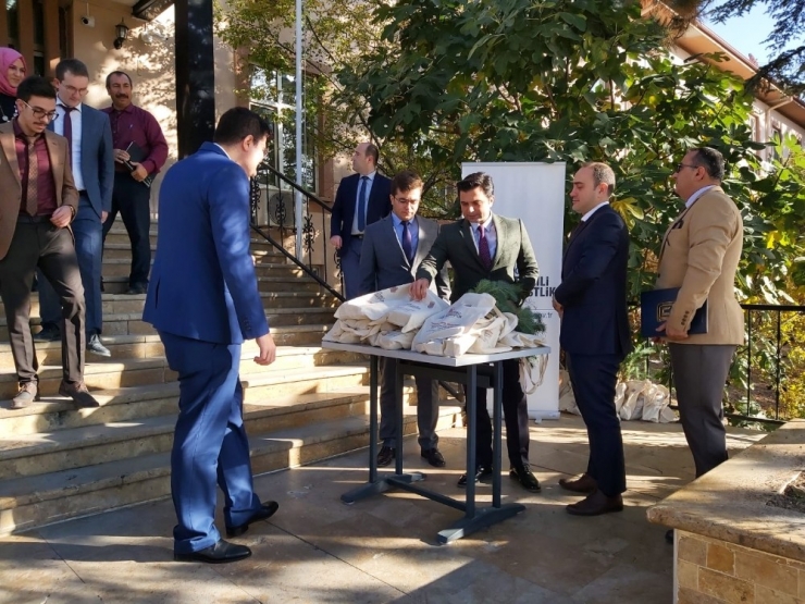 Adliye Personeline 100 Adet Fıstık Çamı Dağıtıldı