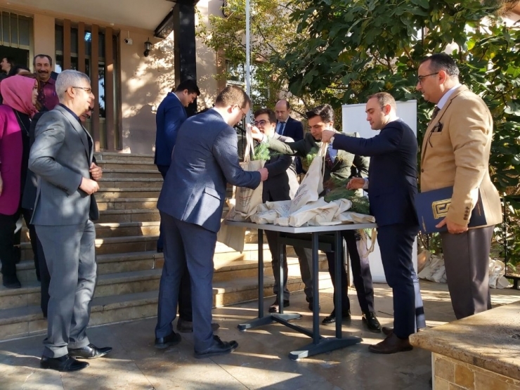 Adliye Personeline 100 Adet Fıstık Çamı Dağıtıldı