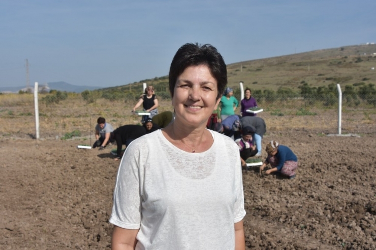 Aliağalı Üretici Kadın Çiftçiler Tarlaya İndi