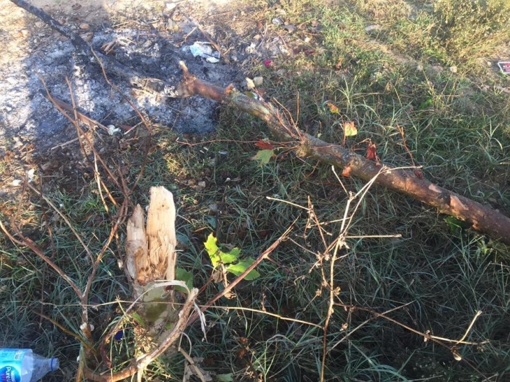 Bunu Yapan İnsan Olamaz