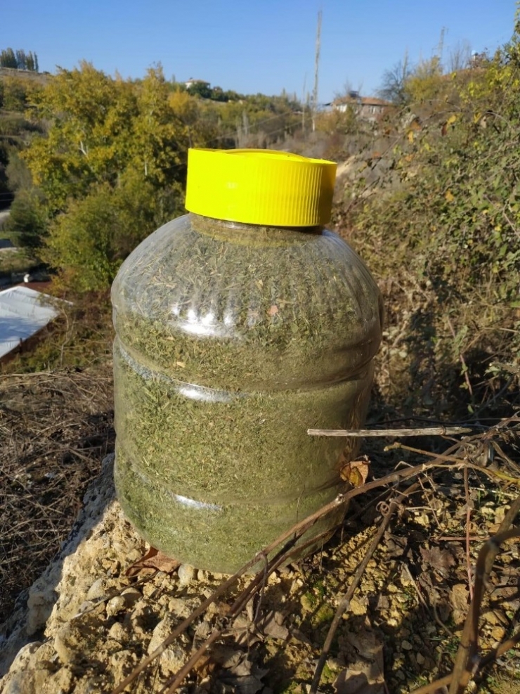 Malatya’da 1 Kilo 600 Gram Esrar Ele Geçirildi