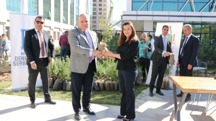 Denetimli Serbestlik Müdürlüğünden ’11 Milyon Fidan’ Etkinliğine Destek