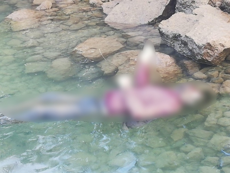 Tekne Turu Yapan Turistler Korkunç Bir Manzara İle Karşılaştı