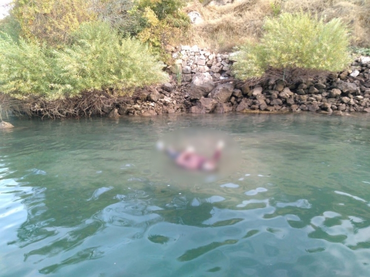 Tekne Turu Yapan Turistler Korkunç Bir Manzara İle Karşılaştı