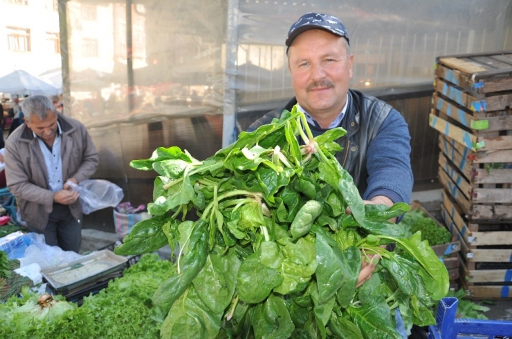 Organik Ispanak İlgi Görüyor
