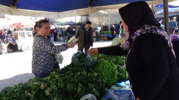 Organik Ispanak İlgi Görüyor