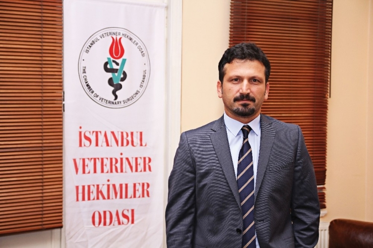 Veteriner Odası Başkanı Arslan’dan Suni Tohumlama Uyarısı