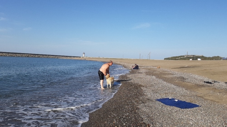 Soğuğa Aldırmadan Denize Girdiler