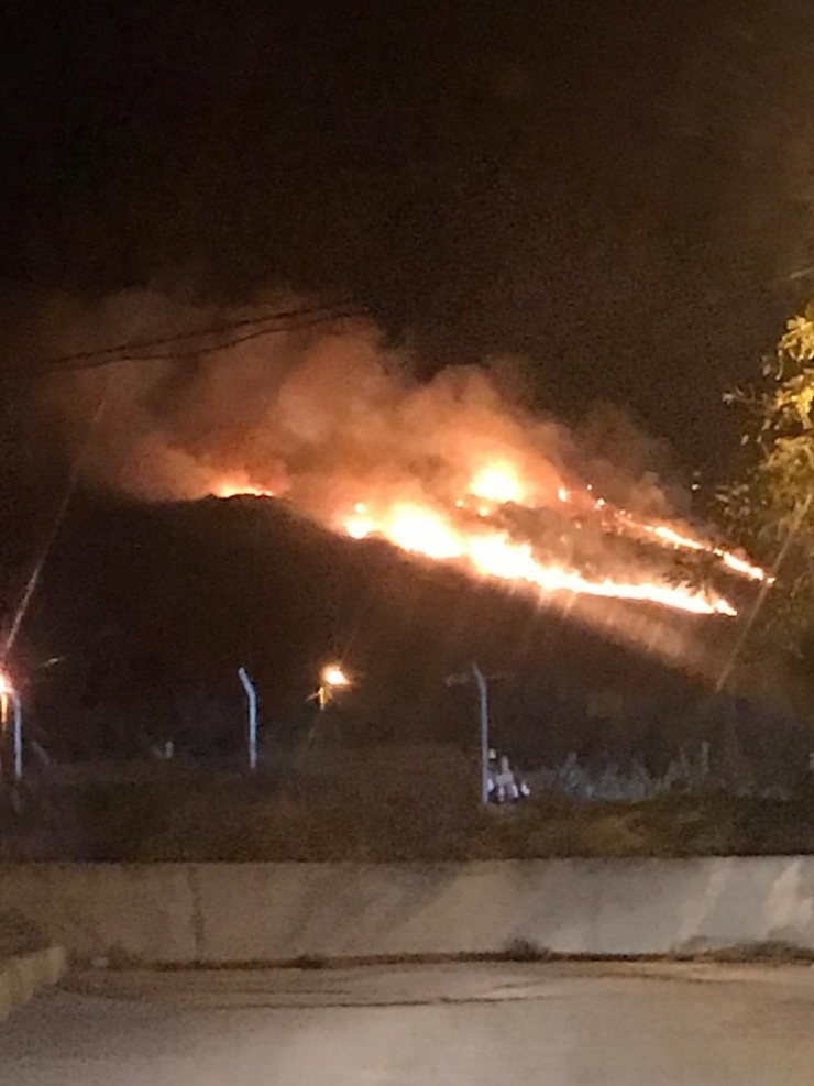 Erdek’te Arazi Yangını