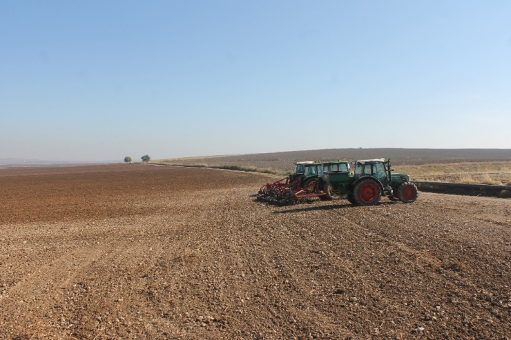 Bismil’de Macar Fiğ Tarla Günü Etkinliği Düzenlendi