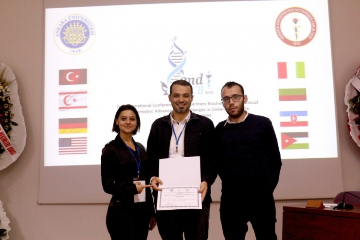 Kızartma Yağı Üreme Sağlığını Etkiliyor