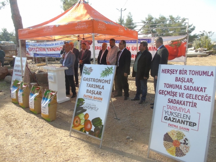 İslahiye’de 160 Çiftçiye Tohum Dağıtıldı