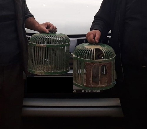 Isparta’da Canlı Mühre Ve Tuzaklı Keklik Avına 3 Bin 304 Lira Ceza